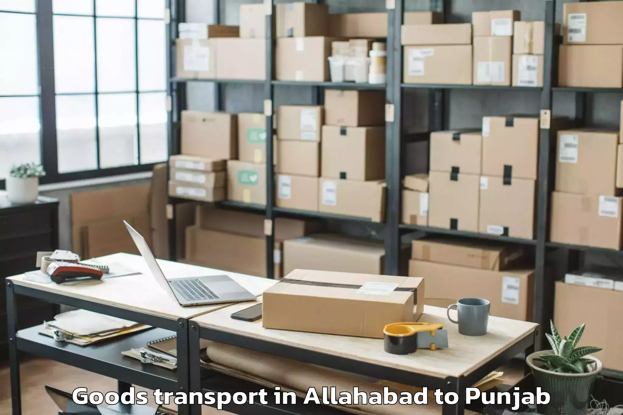 Top Allahabad to Fazilka Goods Transport Available